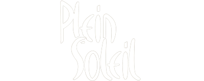HÔTEL PLEIN SOLEIL