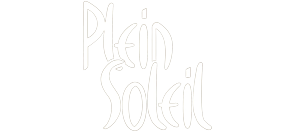 HÔTEL PLEIN SOLEIL